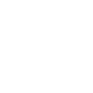 NDU_Logo