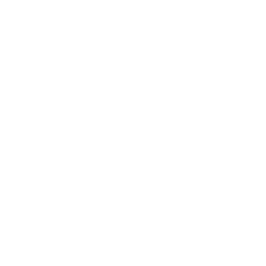 Rokoko_Logo